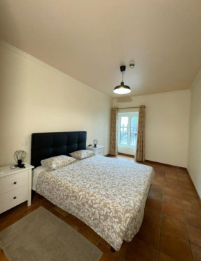 Old Zone Apartments 1A